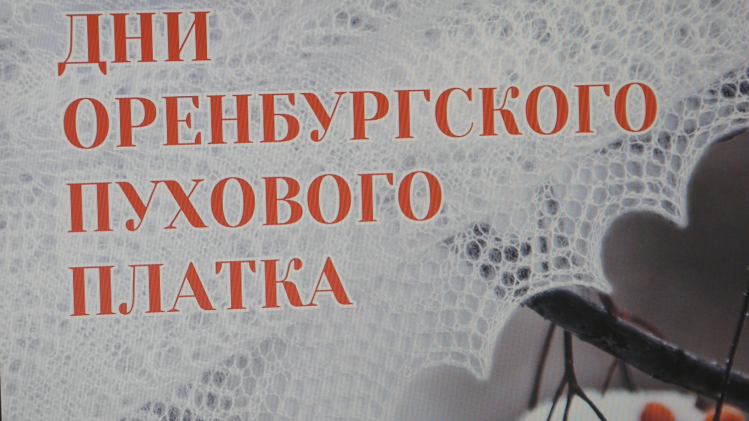 Пуховый платок книги. Оренбургский пуховый платок. Дни Оренбургского пухового платка. Оренбургский пуховый платок надпись. Оренбургский пуховый платок символ Оренбуржья.